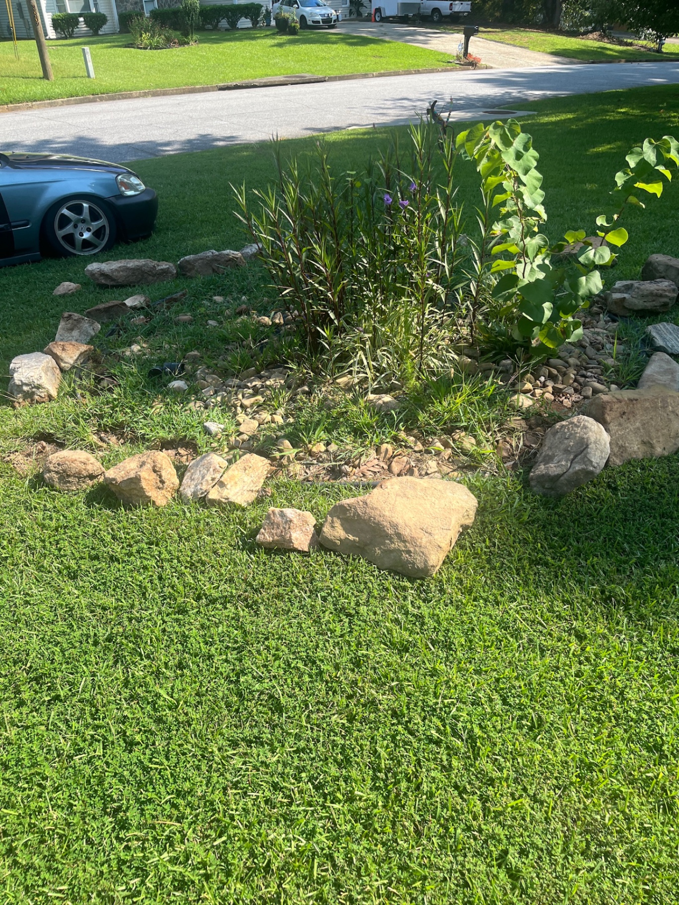 Garden bed makeover — before